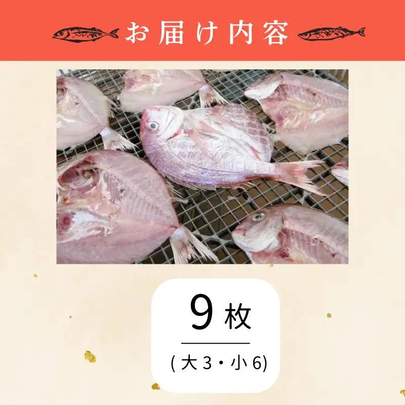 干物 9枚 鳴門鯛 干物セット