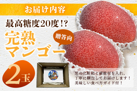 【先行予約】「マンゴー」最高糖度20度！？ 完熟の極！石垣島マンゴー 約1kg【贈答用】《2024年6月下旬～7月下旬発送》【 産地直送 完熟マンゴー アーウィン マンゴー 沖縄 八重山 石垣島産 】