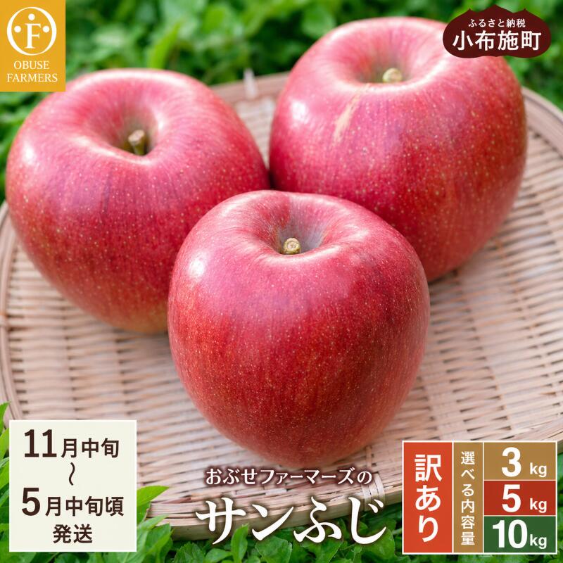 【ふるさと納税】【訳あり】 サンふじ 選べる内容量 約3kg 6～12玉 約5kg 11～18玉 約10kg 22～40玉 ［おぶせファーマーズ］ 果物 フルーツ りんご 不揃い 規格外 家庭用 林檎 リンゴ ふじ 長野県 信州 数量限定 令和7年産 【2025年11月中旬〜2026年4月下旬発送】