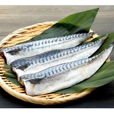 ふるさと納税 武豊町 訳あり 塩さばフィレ 3枚×4袋(約1.8kg)冷凍便にてお届け!おかずにぴったり!(武豊町) |  | 01
