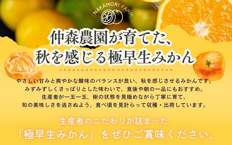 仲森農園の極早生温州みかん 約10kg みかん ミカン 蜜柑 温州みかん 温州ミカン 柑橘 フルーツ 果物 くだもの 甘い 旬 数量限定 期間限定 産地直送 10000円 三重県 熊野市【2026年9