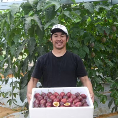 吉川果樹園の自宅用パッションフルーツ3kg