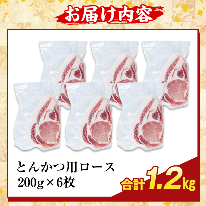 K-373-B かごしま味わい黒豚 とんかつ用ロース肉・トロかつ(計1.2kg)【KNOT】