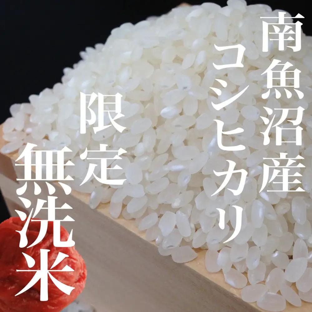 【令和8年　新米予約】【定期便】無洗米5Kg×全9回　越後南魚沼郷  南魚沼産コシヒカリ | 無洗米【2026年10月上旬より1ヶ月以内に順次発送予定】