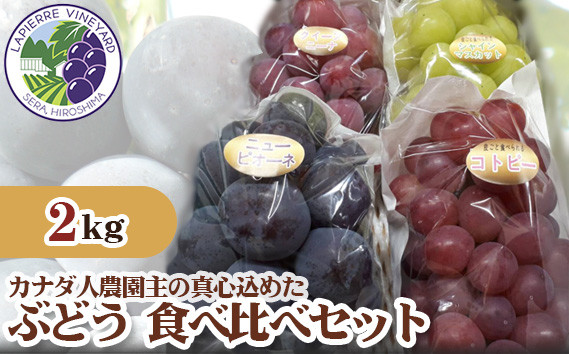 
No.205 【カナダ人農園主の真心を込めた】ぶどう食べ比べセット約2kg ／ 果物 フルーツ 葡萄 ブドウ 詰め合わせ 広島県
