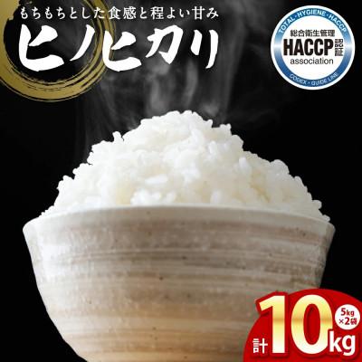 ふるさと納税 八代市 【先行予約】《令和7年産》 ヒノヒカリ 5kg×2袋 合計10kg 熊本県産