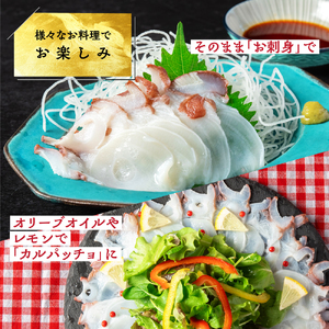 17-277 【ホワイトデー】水だこ太足 小分け真空パック約1kg