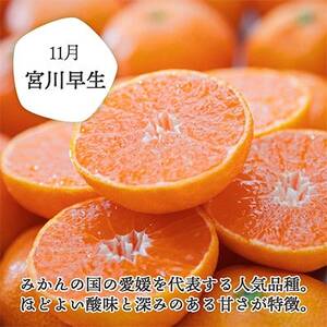 【発送月固定定期便】みかんまどんな食べ比ベ(3kg＆2.5kg)【F25-198】全2回【4066099】