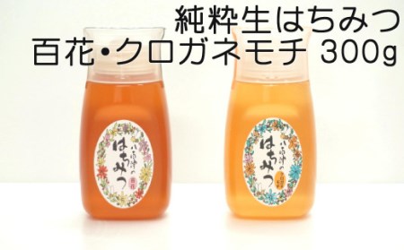はちみつ 百花 クロガネモチ 各300g 計2本 天然 はちみつ 非加熱 はちみつ 純粋 生 はちみつ 蜂蜜 ハチミツ 食べ比べ