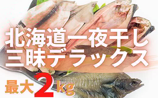 【緊急支援品】北海道産 一夜干し三昧デラックス 最大2kg 訳あり 傷 不揃い ほっけ ホッケ 真イカ いか 宗八がれい カレイ こまい 干物 魚 事業者支援 中国禁輸措置
