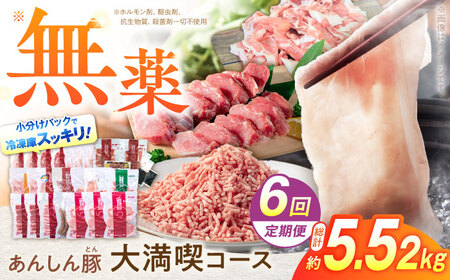 【6回定期便】 豚肉大満喫コース 計5.52kg 藤井ファーム[AWAF073]豚肉セット