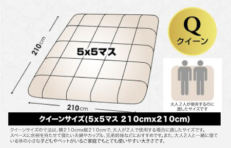 洗える羽毛布団 シングル 2枚セット クリーム ダウン90% 0.3kg 羽毛掛け布団 日本製 洗濯可能 洗える布団 シングル布団 ふとん 布団 寝具