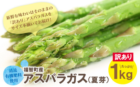 Y18-23 【訳あり】清流・有機肥料使用 アスパラガス(夏芽) 1kg 【2026年6月より順次出荷】