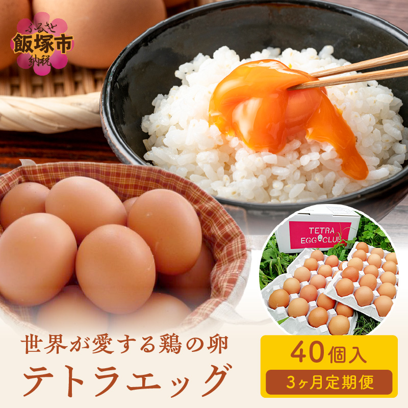テトラエッグ(40個/月)【3ヵ月定期便】