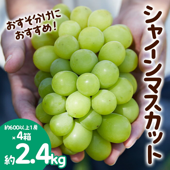 【ふるさと納税】おすそ分けにおすすめ！シャインマスカット 秀品 約2.4kg(約600g1房×4箱) 【令和7年産先行予約】FS23-770 くだもの 果物 フルーツ 山形 山形県 山形市 2025年産