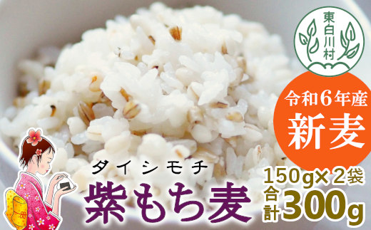 紫もち麦 150g×2袋 300g ダイシモチ もち麦 雑穀 米 こめ 食物繊維 お米 大麦