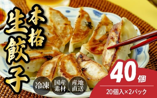 本格生餃子20個×2箱 餃子 40個 人気店の旨味あふれる冷凍餃子 | 大量 大容量 ギョウザ 冷凍餃子 ギョーザ 冷凍ギョウザ 冷凍 冷凍ぎょうざ ぎょうざ ぎょーざ おいしい 手軽 食べ比べ 美味しい おつまみ 国産野菜 中華 簡単調理 惣菜 北本フーズ 埼玉県 北本市