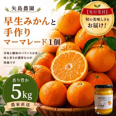 
                  蜜柑マーマレード&グリーンレモン入り★早生みかん5kg★甘味と酸味のバランス良くジューシー!【1687662】
                