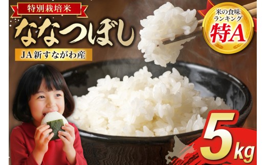 
                  米 特Aランク 令和8年 ななつぼし 特栽米 JA新すながわ産 5kg [ホクレン商事 北海道 砂川市 12260805] 定期 お米 コメ 白米 ごはん ご飯 国産  米 こめ kome おこめ
                