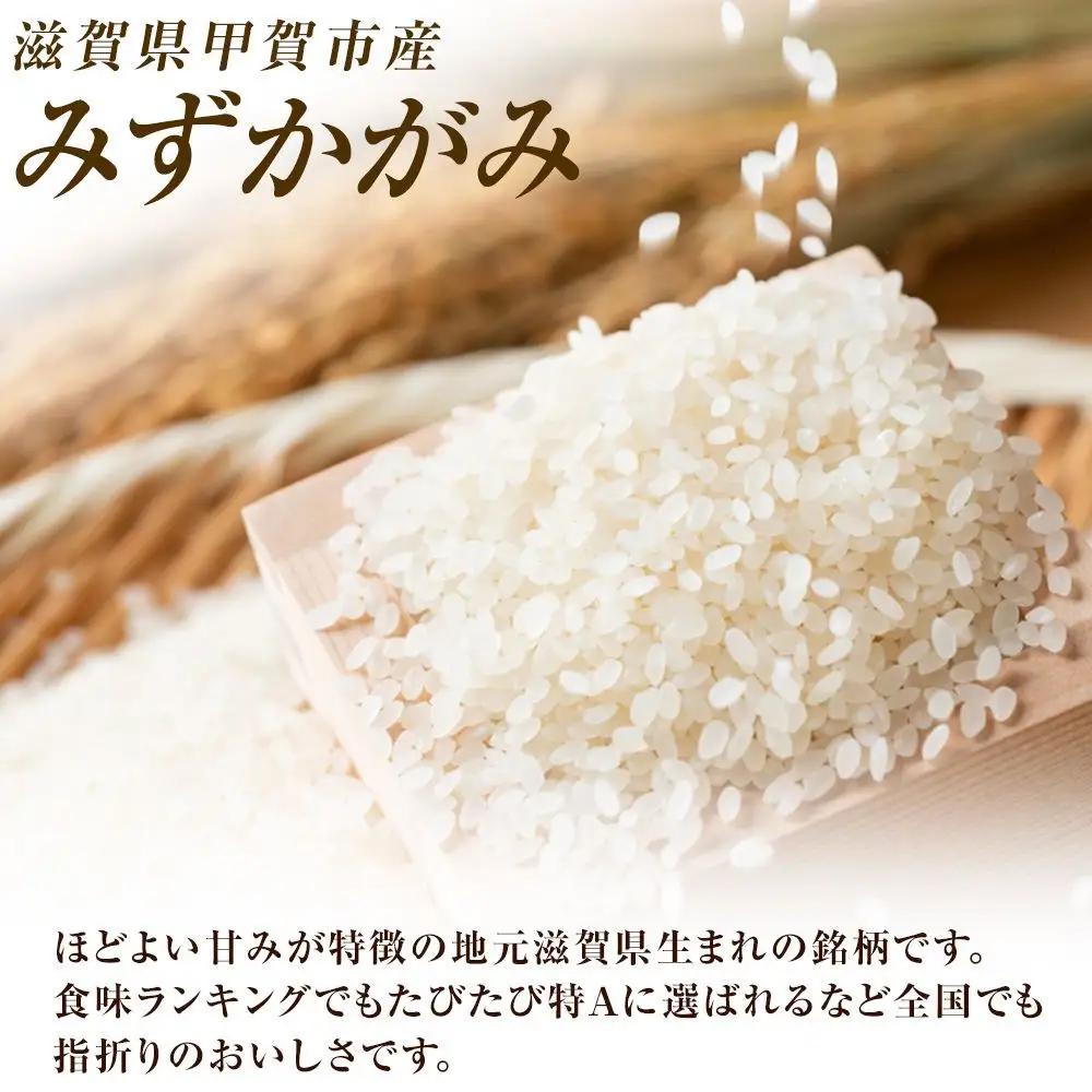 【令和8年産 新米 先行予約】近江米みずかがみ白米5kg×3回定期便※2026年9月～発送
