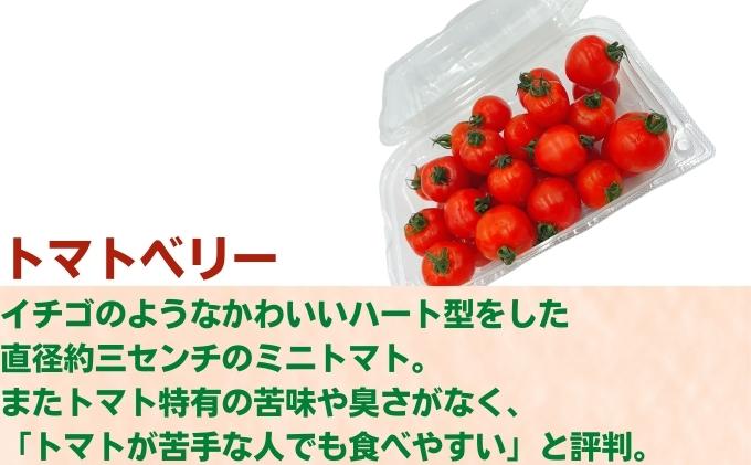 「栗林農園」素のままパスタソースとトマトベリーと紅ま