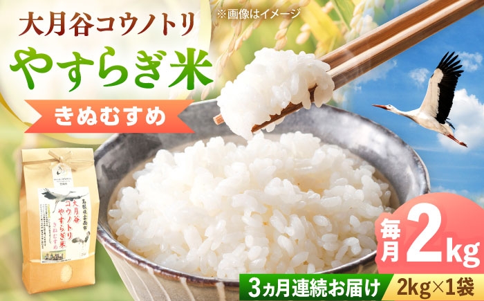 
            お米【全3回定期便】【新米】大月谷コウノトリやすらぎ米 2kg ｜きぬむすめ 米 こめ おこめ はくまい 白米 ライス 精米 コメ 2キロ 使いやすい ごはん ご飯 おにぎり お弁当 朝ごはん 便利 朝食 食卓 主食 グルメ おいしい 上品 ツヤ 国産 新生活 一人暮らし 家族 ご当地 ごはんソムリエ おうちごはん おすすめ 人気 定期便 島根県雲南市/有限会社藤本米穀店 [AIDB137]
          