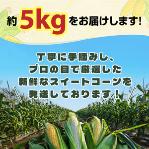 AS-26　大山スイートコーン　等級(秀)　5㎏　10～14本入