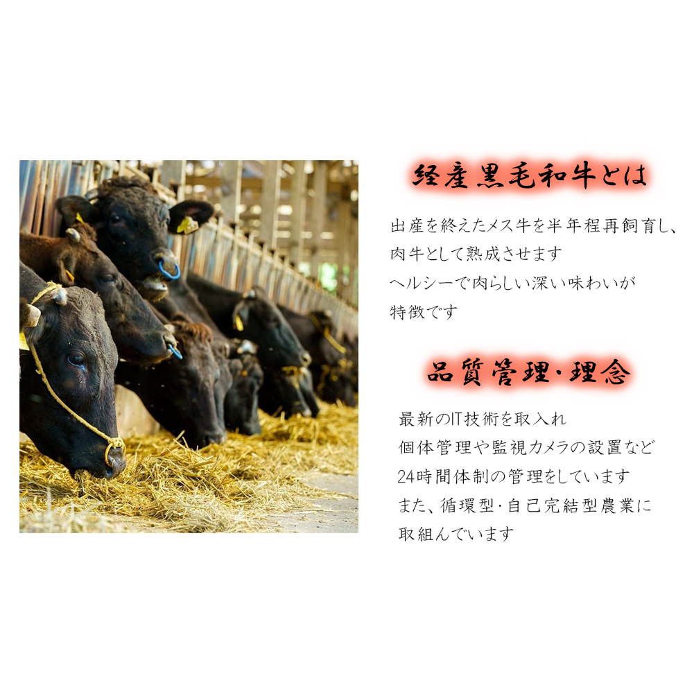 6回 定期便 宮崎県産 焼肉 セット 黒毛和牛 モモ カルビ 豚バラ 若鶏 モモ 合計7.2kg 各300g [サンアグリフーズ 宮崎県 美郷町 31ba0039] 小分け 冷凍 送料無料 国産 BB