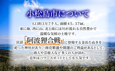 【返礼品なし】1,000,000円　徳島県小松島市への寄付　応援寄付金