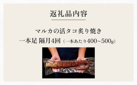 活タコ 炙り焼き 一本足 定期便 隔月 4回 タコ たこ 直火焼き おかず おつまみ 蛸 刺身
