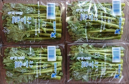 ＜先行予約！2026年12月中旬以降順次発送予定＞菜の花(約1.2kg/パック入り) 国産 野菜 菜の花 【man355】【Aglio nero】