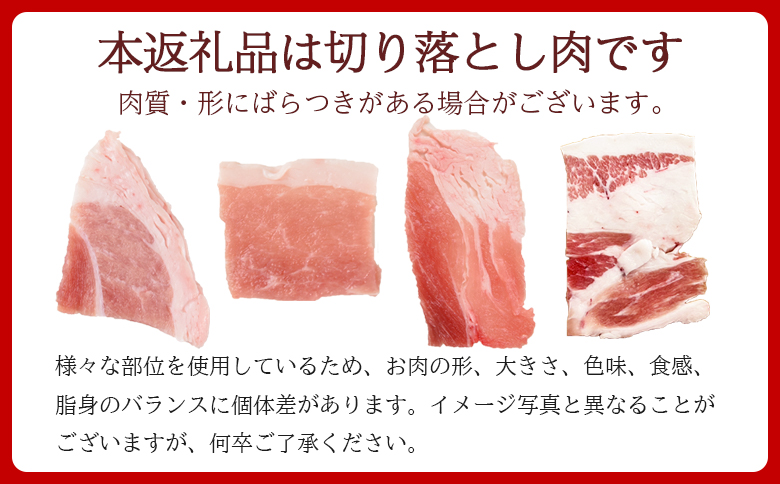 ＜豚肉切り落とし 2.1kg+マキシマムスパイス1本付き＞国産 九州産 精肉 小分け 小間切れ 豚こま【MI718-nk】【中村食肉】