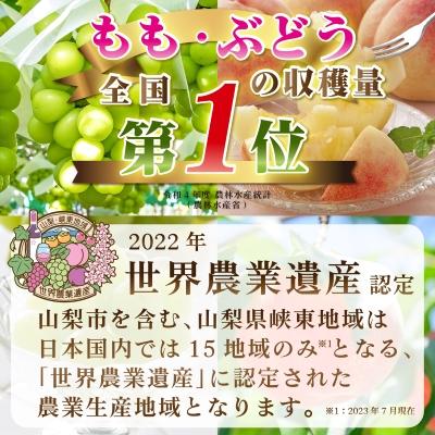 ふるさと納税 山梨市 【発送月固定定期便】2026年発送 山梨フルーツ旬の果物 桃+シャインマスカット 全2回 |  | 02