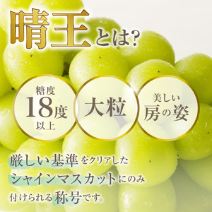 【2025年発送分】岡山県産シャインマスカット「晴王」定期便　秀品　大房（約5kg・5～9房目安）×10回発送（令和７年7月以降発送）