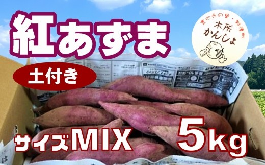 木所かんしょ（紅あずま）５㎏【栽培期間中化成肥料不使用】土付き さつまいも ミックス