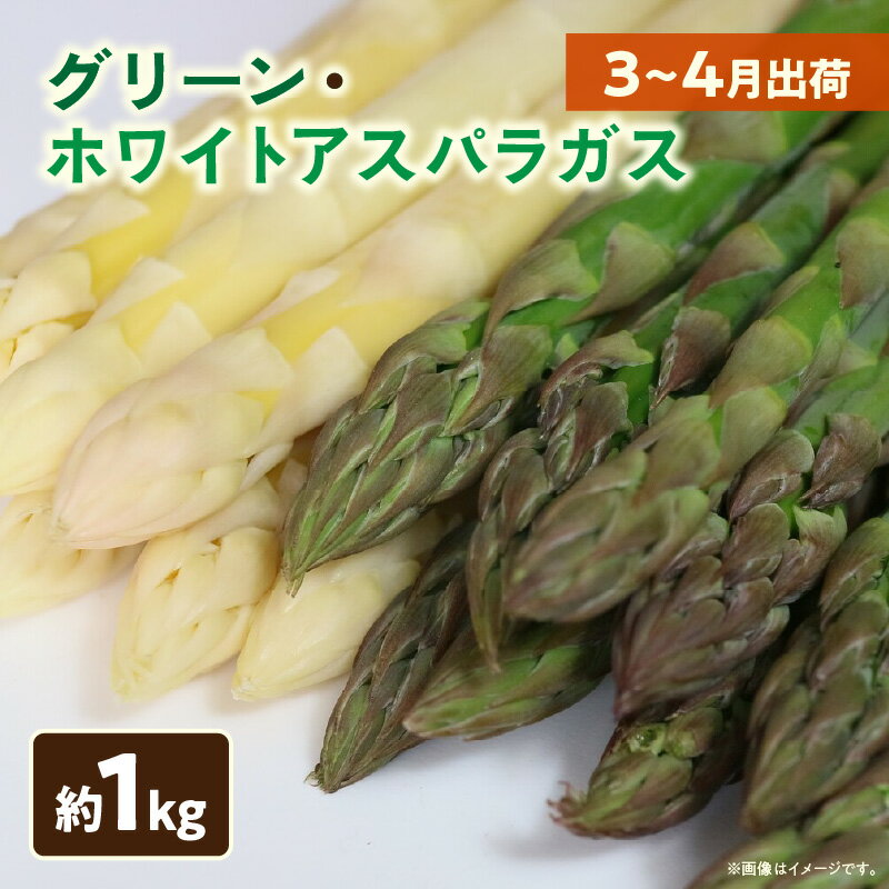 【ふるさと納税】074　グリーン・ホワイトアスパラガス約1kg（3～4月出荷） アスパラ アスパラガス ホワイトアスパラガス 新鮮 春野菜 直送 グリーンアスパラガス