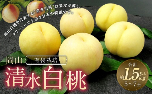 岡山 清水 白桃 5～7玉 （合計1.5kg以上） 【2026年7月上旬～7月下旬 発送予定】 桃 もも モモ 果物 果実 フルーツ 岡山県 奈義町 冷蔵