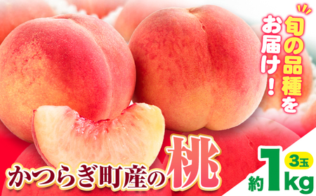 桃 かつらぎ町産 約 1kg 紀農人株式会社《2025年6月上旬-8月中旬頃出荷》 和歌山県 日高川町 果物 フルーツ 桃 もも モモ 旬