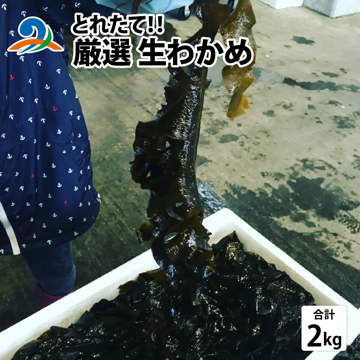 【ふるさと納税】【先行予約】【とれたて！！】厳選生わかめ2.0kg【2026年4月上旬ごろ順次発送】新鮮 お造り 刺身 晩酌 食卓 BBQ 冷蔵 送料無料