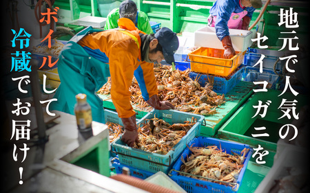 【先行予約/11月7日より順次発送】 【希望月指定可】  セイコガニ（ズワイガニのメス）中サイズ 5ハイ / 越前ガニ コッペガニ せいこ蟹 ボイル 小浜市 / まるほ商店 【配送不可地域：北海道・沖