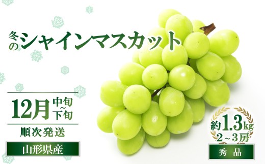 【令和8年産先行予約】 JA 冬のシャインマスカット 約1.3kg (2～3房 秀) 《令和8年12月中旬～下旬発送》 『JA山形おきたま』 マスカット ぶどう 果物 フルーツ デザート 山形県 南陽市 [2055-R8]