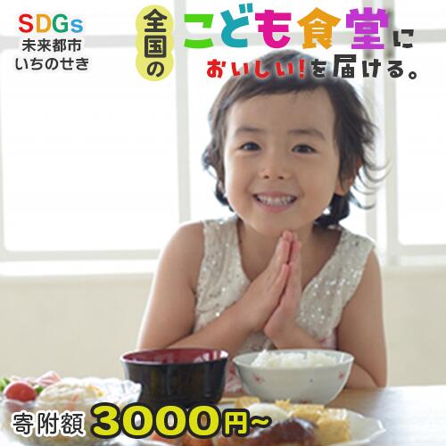 【ふるさと納税】一関市から全国のこども食堂への支援（ SDGs × ふるさと納税 ）寄付額3000円〜1000万円 子ども食堂