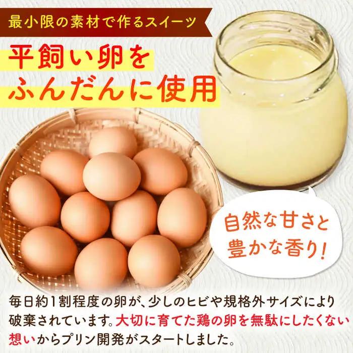 こだわりの平飼い卵を使用！牛乳を使わない優しいプリン 6個入（80g/個） / 佐賀県 / 素ヱコ農園 [41AEAA014]