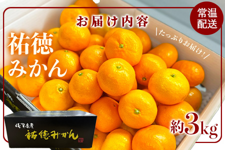 温州みかん 祐徳みかん 約3kg 化粧箱入り 希少 数量限定 《10月下旬～12月頃発送予定》| ブランド 温州みかん 希少 佐賀県 鹿島市 B-100