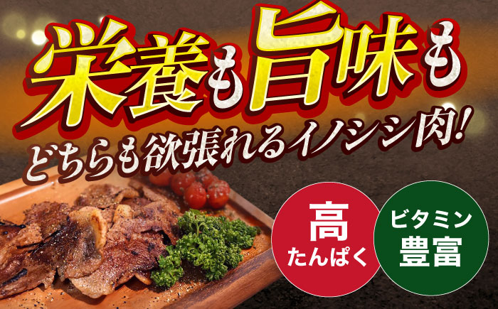 【3回定期便】ジビエ 天然イノシシ肉 肩ロース or ロース スライス750g【照本食肉加工所】 [OAJ055] / 肉 猪 猪肉 イノシシ イノシシ肉 いのしし しし肉 しし鍋 ボタン鍋 ジビエ