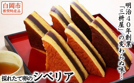 シベリア 6個入り 1個100g 明治40年創業 三枡屋 老舗 白岡市推奨特産品 採れたて卵のカステラ 自家製餡の羊羹 昭和初期から続く昔懐かしい味 ふわふわカステラ 和菓子 スイーツ お茶菓子 おやつ 常温便 通年申込 通年発送 時間指定可 消費期限製造から30日 埼玉県白岡市