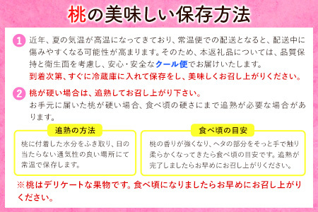 【先行予約】秀品和歌山のブランド桃「あら川の桃」約4kg 紀の川市厳選館《2024年6月下旬-8月上頃より順次出荷》 和歌山県 紀の川市