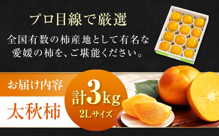 柿の概念を超えたサクサク食感！太秋柿 2Lサイズ 約3kg化粧箱入（12玉入り）かき カキ 柿 果物 フルーツ