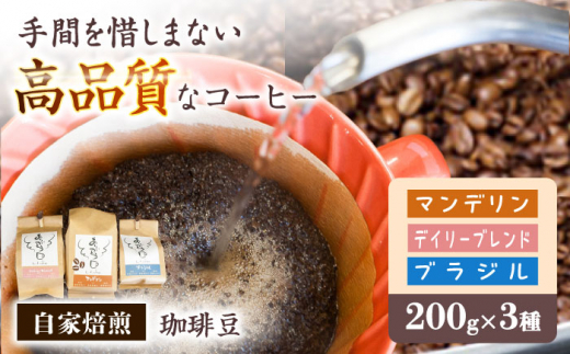コーヒー 珈琲豆 自家焙煎豆3種セット デイリーブレンド200g マンデリン200g ブラジル200g 岐阜オリジナルパッケージ アラビカ種 コーヒー 豆 インドネシア 酸味 コク 高品質 ミル ホット アイス おすすめ 人気  詰め合わせ 飲み比べ セット 高級品種 ハンドピッキング ギフト プレゼント 贈り物 贈答 お返し 岐阜市/就労継続支援B型事業所 アンドワークス [ANDA001]