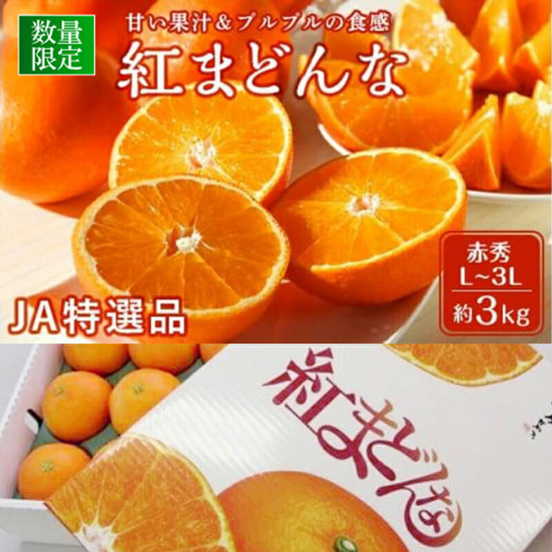 【ふるさと納税】【先行予約】 JA特選品 紅まどんな 赤秀 L~3L 約3kg 愛媛 みかん 蜜柑 柑橘 果物 くだもの フルーツ お取り寄せ グルメ 期間限定 数量限定 人気 おすすめ 愛媛県 松山市